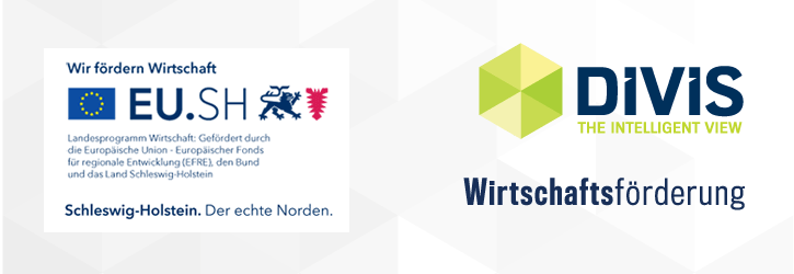 WTSH Wirtschaftsförderung | DIVIS